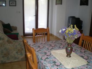 Kroatien-Apartment-Banjole-Privatunterkünfte 
