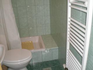 Hrvatska-Studio apartman-Premantura-Privatni smještaj