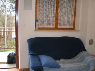 Croazia-Appartamento-Nedescina-Alloggio privato