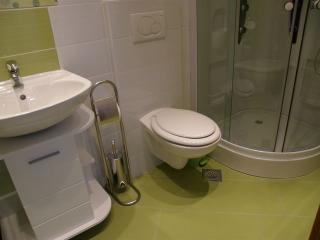 Kroatien-Apartment-Rovinj-Privatunterkünfte 