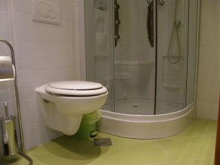 Kroatien-Apartment-Rovinj-Privatunterkünfte 