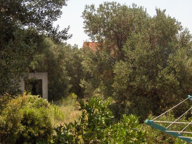 Kroatien-Zimmer-Orebic-Privatunterkünfte 