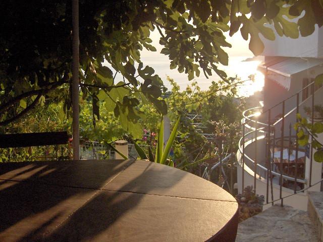 Croatia-Apartment-Sumpetar-Private accommodation