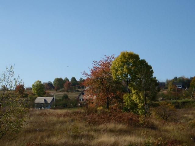 Chorvatsko-Pokoj-Poljanak-Ubytování v soukromí