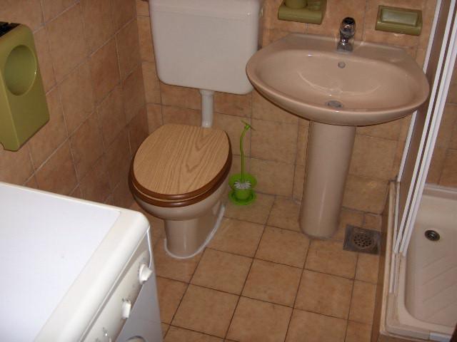Croatia-Apartment-Mandre-Private accommodation