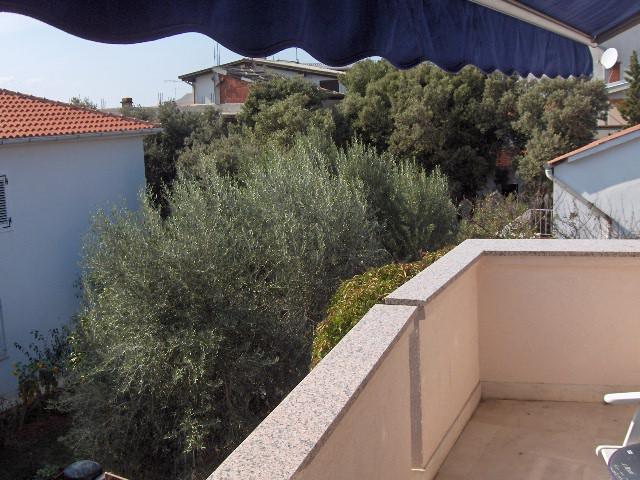 Croatia-Apartment-Mandre-Private accommodation