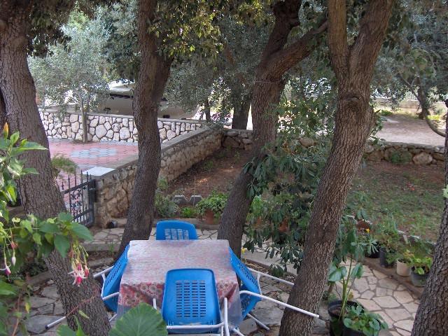 Croatia-Apartment-Mandre-Private accommodation