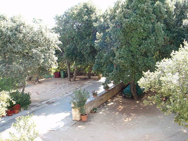 Croazia-Appartamento-Simuni-Alloggio privato