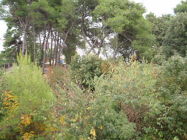 Kroatien-Apartment-Biograd na Moru-Privatunterkünfte 