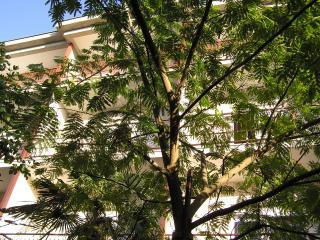 Croatia-Room-Sukosan-Private accommodation