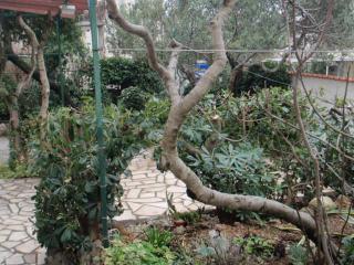 Croatia-Apartment-Makarska-Private accommodation