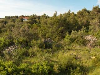 Hrvatska-Apartman-Supetar-Privatni smještaj