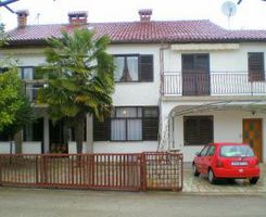 Apartment Dora in Porec